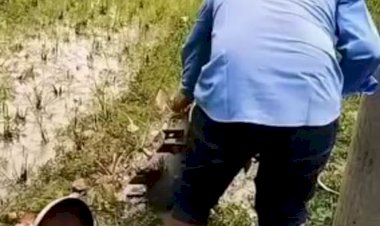 Rural electricity transformer theft in Khidirpur, Manohardi
