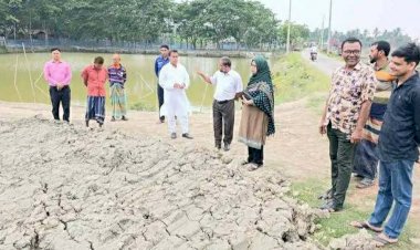 Guidelines Issued on Fish Farming and Pond Enclosure Construction in Keshabpur