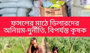 In Rajshahi, farmers are forced to buy fertilizer at higher prices due to the manipulation by some unscrupulous dealers; smuggling is ongoing in various upazilas.
