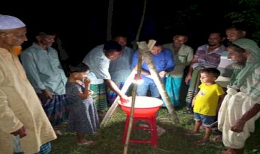 Keshobpur ramps up efforts to control pest infestation in crop fields.
