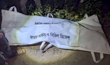 Headmaster killed in road accident in Birampur