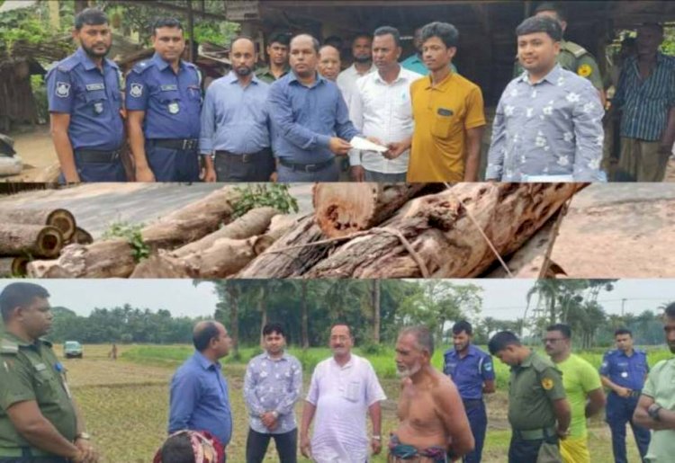 Fine Imposed on Two Individuals in Keshabpur for Cutting Government Trees and Excavating Soil from Agricultural Land