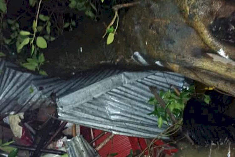 Banyan Tree Crushes Tea Stall in Gobindganj During Storm, Kills Shapala; Husband Khoka Mia Survives