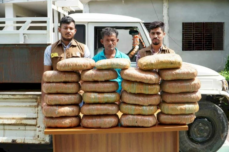 Arrest of a youth with 45 kg of cannabis in Shibpur, Narsingdi