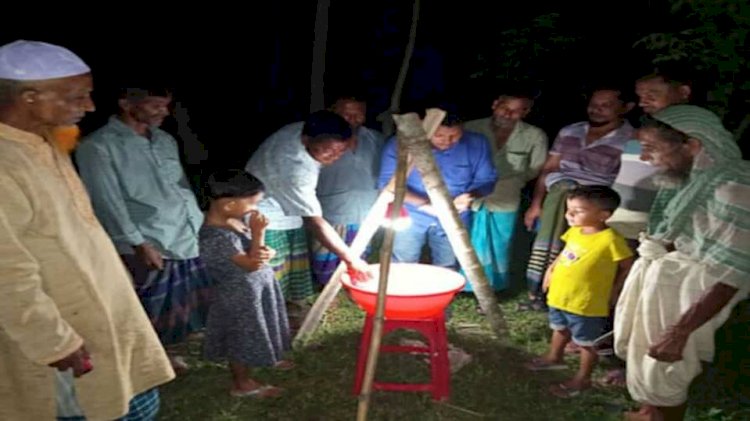 Keshobpur ramps up efforts to control pest infestation in crop fields.