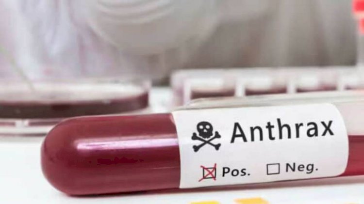 Anthrax disease spreading in Thakurgaon: Call for caution when buying beef