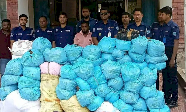 100 kg of marijuana was being dried on the roof of a UP member's house in Brahmanpara.