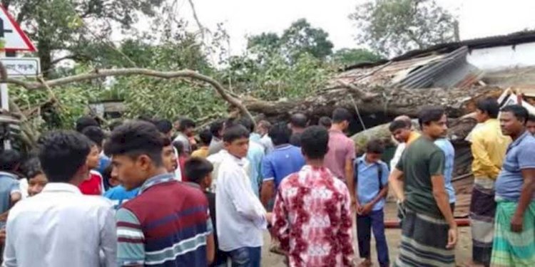 In Chirirbandar's Chadkadanga market, a banyan tree fell, damaging shops and injuring 3 pedestrians!